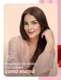 Catálogo Avon Página 11