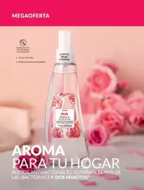 Catálogo Avon Página 250