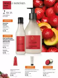 Catálogo Natura Página 100