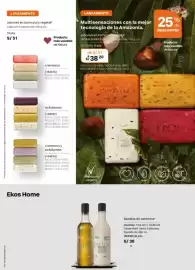 Catálogo Natura Página 101