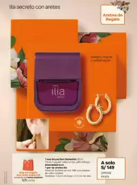 Catálogo Natura Página 17