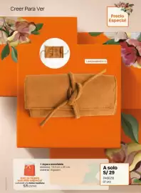 Catálogo Natura Página 43