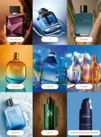 Catálogo Natura Página 49