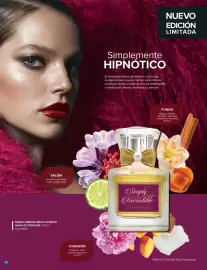 Catálogo Terramar Brands Página 14