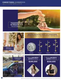 Catálogo Terramar Brands Página 36