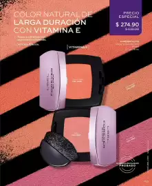 Catálogo L'Bel Página 107