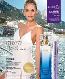 Catálogo L'Bel Página 13