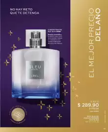 Catálogo L'Bel Página 29