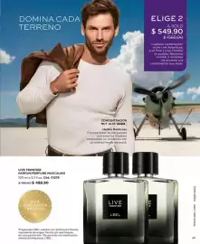 Catálogo L'Bel Página 41