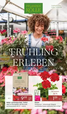 Pflanzen Kölle (gültig bis 12-04)