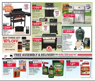 Ace Hardware flyer Page 3