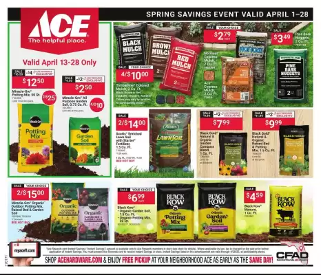 Ace Hardware (valid until 28-04)