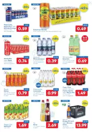 T&G Flugblatt Seite 5