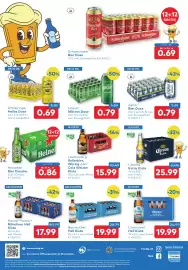 T&G Flugblatt Seite 8