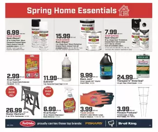 Family Fare weekly ad Page 3