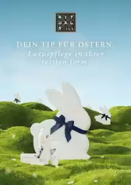 Travel FREE Prospekt Seite 9