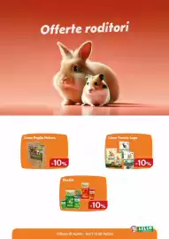 Volantino Lillo e i Vagabondi Pagina 11