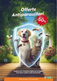 Volantino Lillo e i Vagabondi Pagina 2