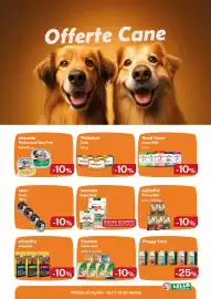 Volantino Lillo e i Vagabondi Pagina 4