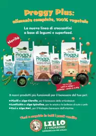 Volantino Lillo e i Vagabondi Pagina 5