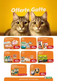 Volantino Lillo e i Vagabondi Pagina 6