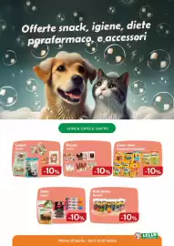 Volantino Lillo e i Vagabondi Pagina 8