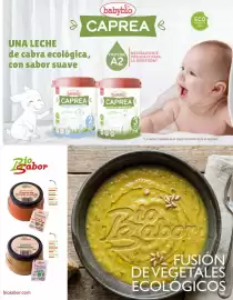 Catálogo Veritas Página 13