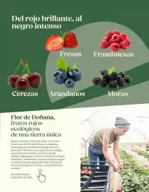 Catálogo Veritas Página 5