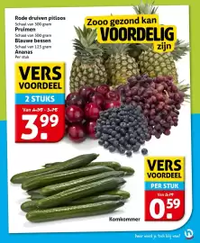 Hoogvliet folder week 15 Pagina 9