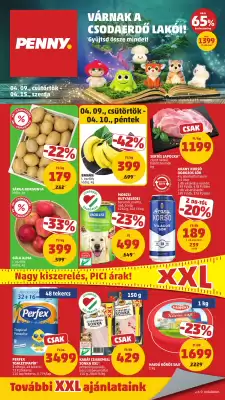 PENNY (érvényes eddig: 15-04)