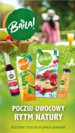 Lewiatan gazetka Strona 1