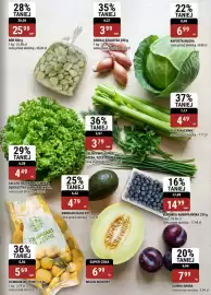 Bi1 gazetka Strona 15