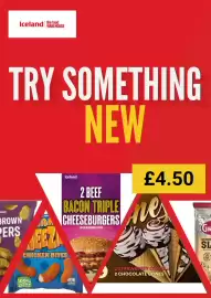 Iceland leaflet Page 1