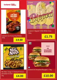 Iceland leaflet Page 2