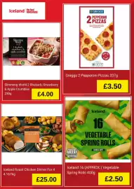 Iceland leaflet Page 3