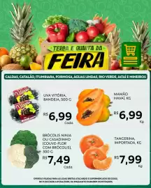 Catálogo Supermercados Bretas Página 4