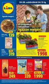 Lidl akciós újság hét 15 Oldal 1