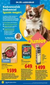 Lidl akciós újság hét 15 Oldal 18