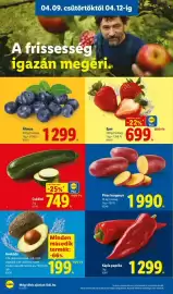 Lidl akciós újság hét 15 Oldal 4