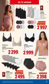 Lidl akciós újság hét 15 Oldal 27