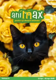 Magazine Animax Pagină 1