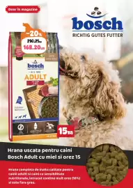Magazine Animax Pagină 12