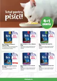 Magazine Animax Pagină 14