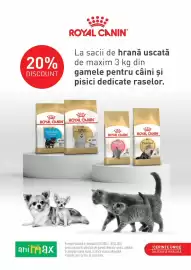 Magazine Animax Pagină 15