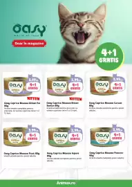 Magazine Animax Pagină 16