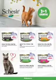 Magazine Animax Pagină 17