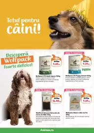 Magazine Animax Pagină 2