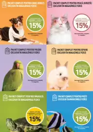 Magazine Animax Pagină 22