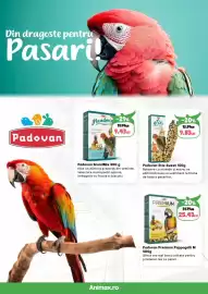 Magazine Animax Pagină 23