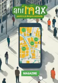 Magazine Animax Pagină 27